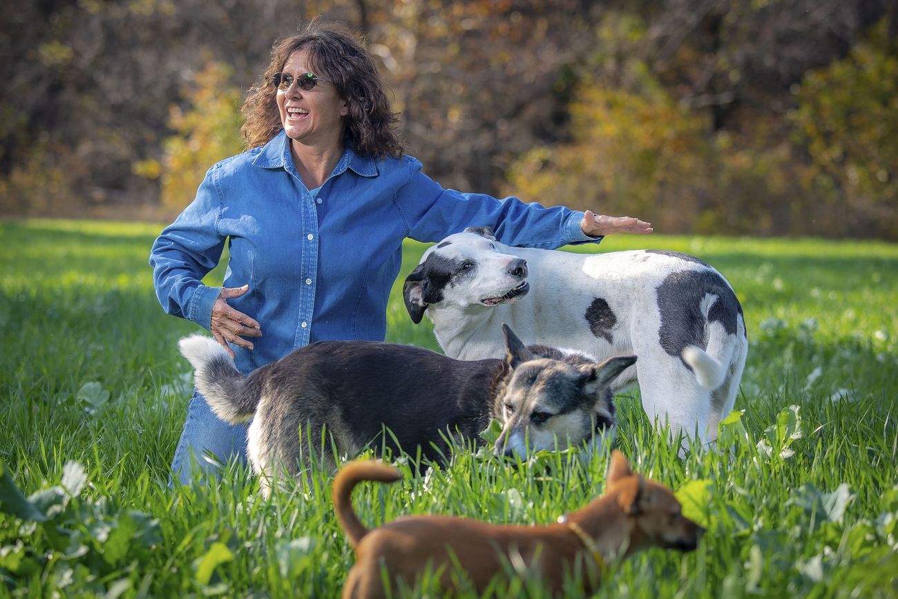 Tammy Higgins with three dogs outdoors